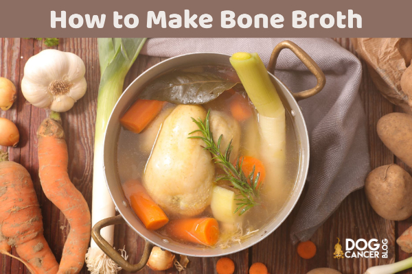 Bone Broth: A Healthy Addition to Your Dog's Diet - Dog Cancer Blog